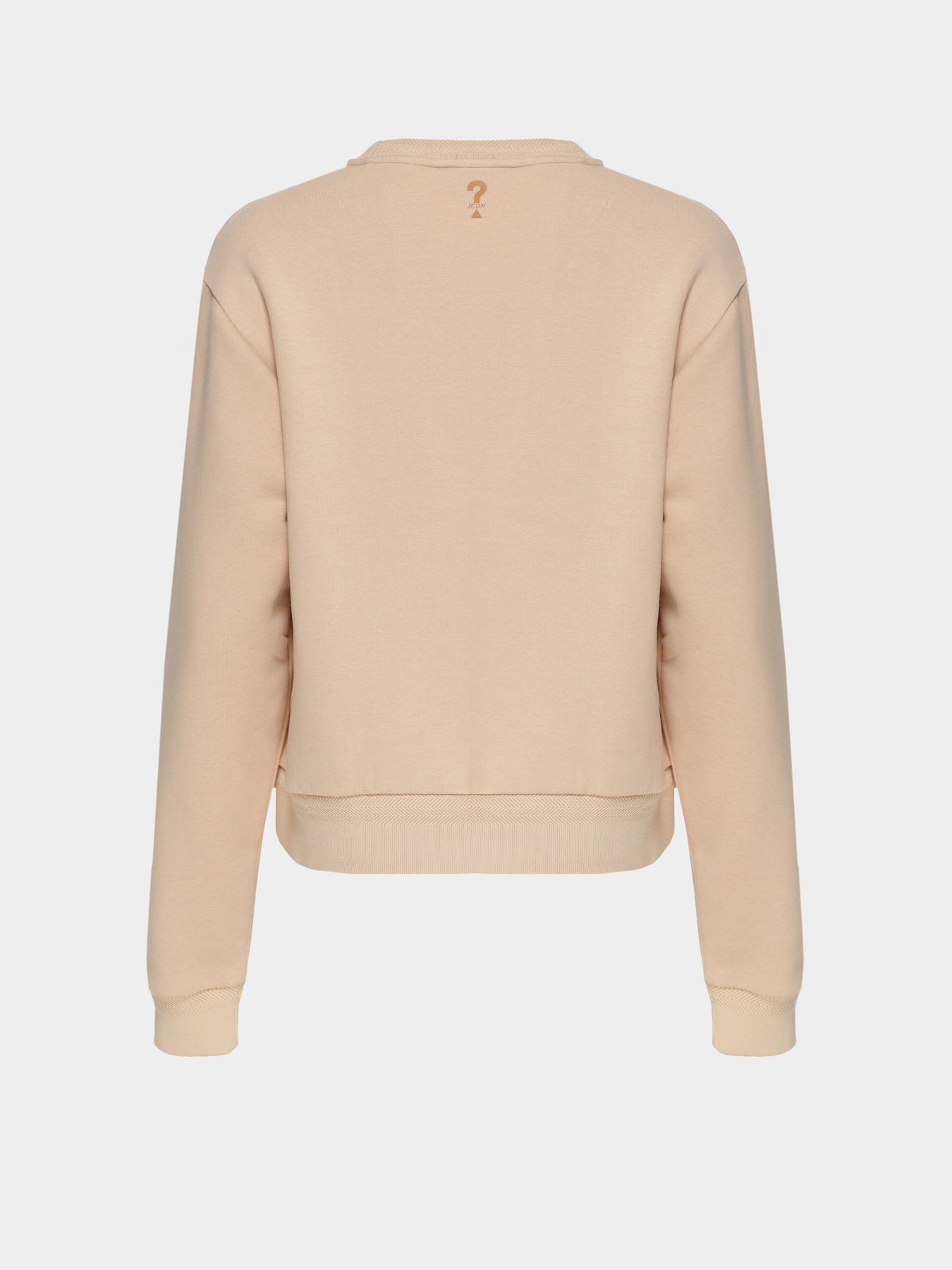 Світшот GUESS модель W1YQ33.K9Z21;G1G2 Фото