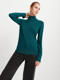 Водолазка GUESS Goldie модель W1BR19.Z2V60;G8EN Водолазка GUESS Goldie модель W1BR19.Z2V60;G8EN Фото