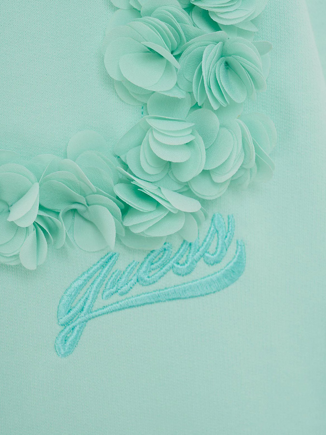 Світшот GUESS модель W2GQ16.KB3N0;A80A Фото