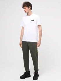 Спортивні штани EA7 Logo Series модель 6RPP96-PJHLZ-1845 Фото