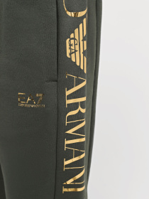 Спортивні штани EA7 Logo Series модель 6RPP96-PJHLZ-1845 Фото