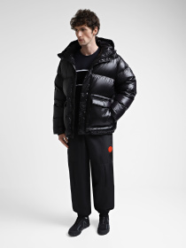 Пуховик EA7 модель 6DPB31-PN2MZ-1200 Фото