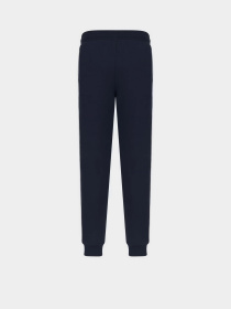 Штаны спортивные EA7 7 Lines модель 6DPP69-PJ9FZ-1562 Фото