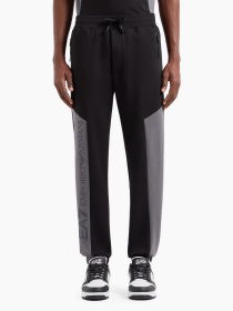 Штаны спортивные EA7 Athletic Colour Block модель 6DPP71-PJVTZ-1200 Фото