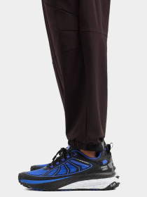 Спортивні штани EA7 Ventus7 модель 6DPP66-PNBWZ-1771 Фото