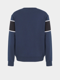 Свитшот EA7 Athletic Colour Block модель 6DPM80-PJTKZ-1562 Фото