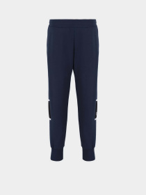 Штаны спортивные EA7 Athletic Colour Block модель 6DPP92-PJTKZ-1562 Фото