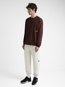 Свитшот EA7 Graphic Series модель 7M000003-AF11971-UA006 Фото