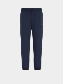 Штани спортивні EA7 Gold Label модель 7M000028-AF10343-UB102 Фото