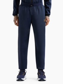 Спортивні штани EA7 Gold Label модель 7M000028-AF10343-UB102 Фото