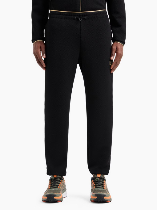 Штаны спортивные EA7 Gold Label модель 7M000030-AF10344-UC001 Фото