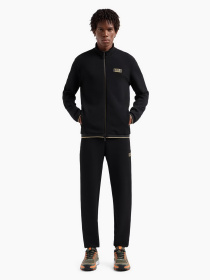 Спортивні штани EA7 Gold Label модель 7M000030-AF10344-UC001 Фото