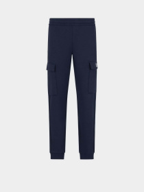 Спортивні штани EA7 модель 8NPP68-PJVTZ-1562 Фото