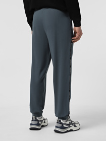 Штани спортивні EA7  Logo Series модель 7M001040-AF10380-U8106 Фото