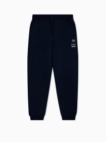 Штаны спортивные EA7 модель 7M000979-AF17787-UB102 Фото