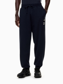 Штани спортивні EA7 модель 7M000979-AF17787-UB102 Фото