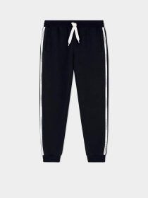 Штаны спортивные EA7 модель 7M000974-AF10377-UB102 Фото