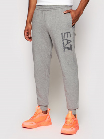 Спортивний костюм EA7 модель 3KPV53-PJ05Z-3905 Фото