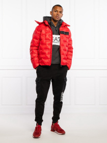 Пуховик EA7 модель 6KPB64-PN8MZ-1451 Фото