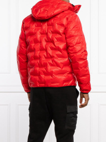 Пуховик EA7 модель 6KPB64-PN8MZ-1451 Пуховик EA7 модель 6KPB64-PN8MZ-1451 Фото