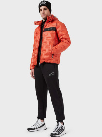 Пуховик EA7 модель 6KPB64-PN8MZ-1659 Пуховик EA7 модель 6KPB64-PN8MZ-1659 Фото