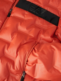 Пуховик EA7 модель 6KPB64-PN8MZ-1659 Пуховик EA7 модель 6KPB64-PN8MZ-1659 Фото