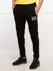 Спортивный костюм EA7 модель 6KPV68-PJ07Z-22BY Фото