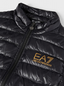 Жилет с утеплителем EA7 модель 8NPQ01-PN29Z-0208 Фото