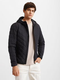 Пуховик EA7 модель 8NPB07-PNE1Z-1200 Фото