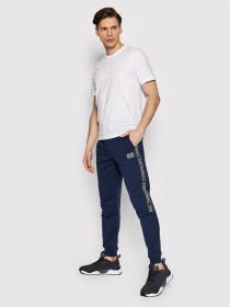 Спортивні штани EA7 модель 3LPP67-PJ05Z-0554 Фото