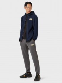 Спортивні штани EA7 модель 3LPP69-PJG1Z-1977 Фото