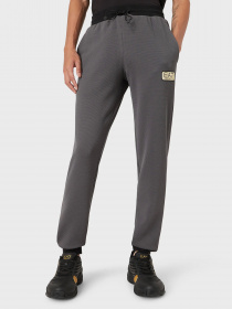 Спортивні штани EA7 модель 3LPP69-PJG1Z-1977 Фото