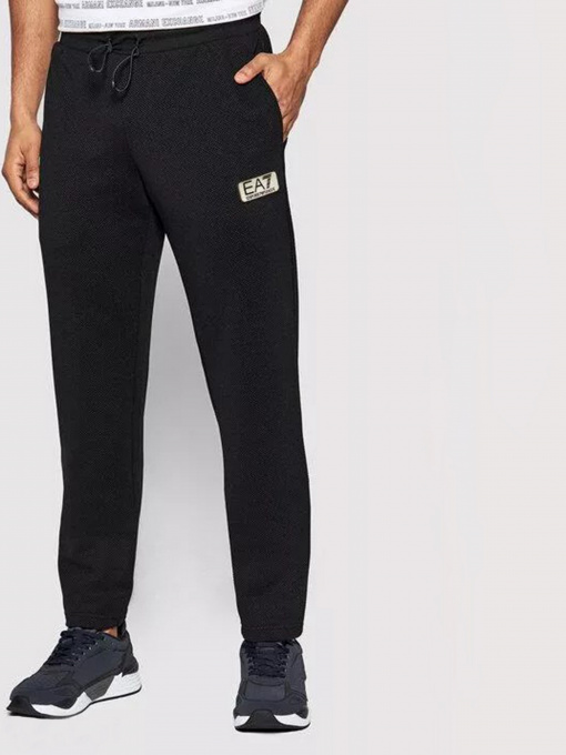 Штаны спортивные EA7 модель 3LPP71-PJG1Z-1200 Фото