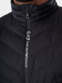 Пуховик EA7 модель 8NPB06-PNE1Z-1200 Пуховик EA7 модель 8NPB06-PNE1Z-1200 Фото