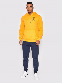 Худи EA7 модель 6LPM57-PJHDZ-1629 Фото