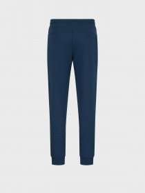 Спортивні штани EA7 Logo Series модель 6LPP85-PJHKZ-1568 Спортивні штани EA7 Logo Series модель 6LPP85-PJHKZ-1568 Фото