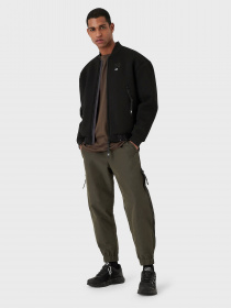 Бомбер EA7 7.0 модель 6LPB33-PJGRZ-1200 Фото