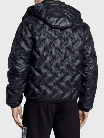 Демисезонная куртка EA7 модель 6LPB64-PN8MZ-1200 Фото