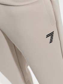 Штаны спортивные EA7 модель 6LPP58-PJHFZ-1716 Фото