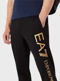 Штаны спортивные EA7 модель 8NPPC1-PJ05Z-0582 Фото