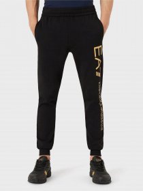 Штаны спортивные EA7 модель 8NPPC1-PJ05Z-0582 Фото