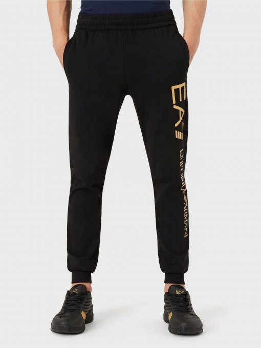 Штаны спортивные EA7 модель 8NPPC1-PJ05Z-0582 Фото