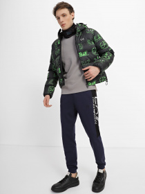 Зимняя куртка EA7 модель 6LPB05-PN9FZ-2816 Фото