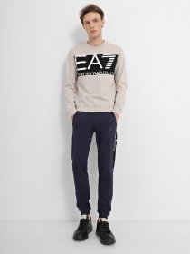 Світшот EA7 Logo Series модель 6LPM51-PJFGZ-1716 Світшот EA7 Logo Series модель 6LPM51-PJFGZ-1716 Фото