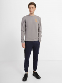 Свитшот EA7 модель 6LPM59-PJHDZ-1920 Фото