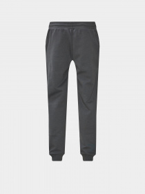 Штаны спортивные EA7 модель 6LPP78-PJARZ-1977 Фото