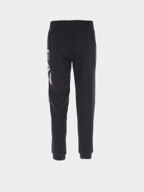 Спортивні штани EA7 Logo Series модель 6LPP80-PJFGZ-0208 Фото