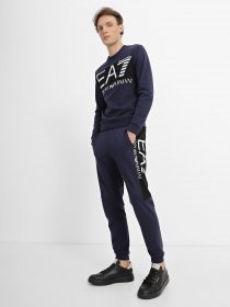Штаны спортивные EA7 Logo Series модель 6LPP80-PJFGZ-1554 Фото
