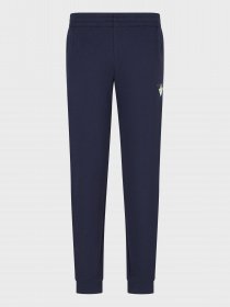 Штани спортивні EA7 модель 6LPP86-PJEQZ-1554 Фото