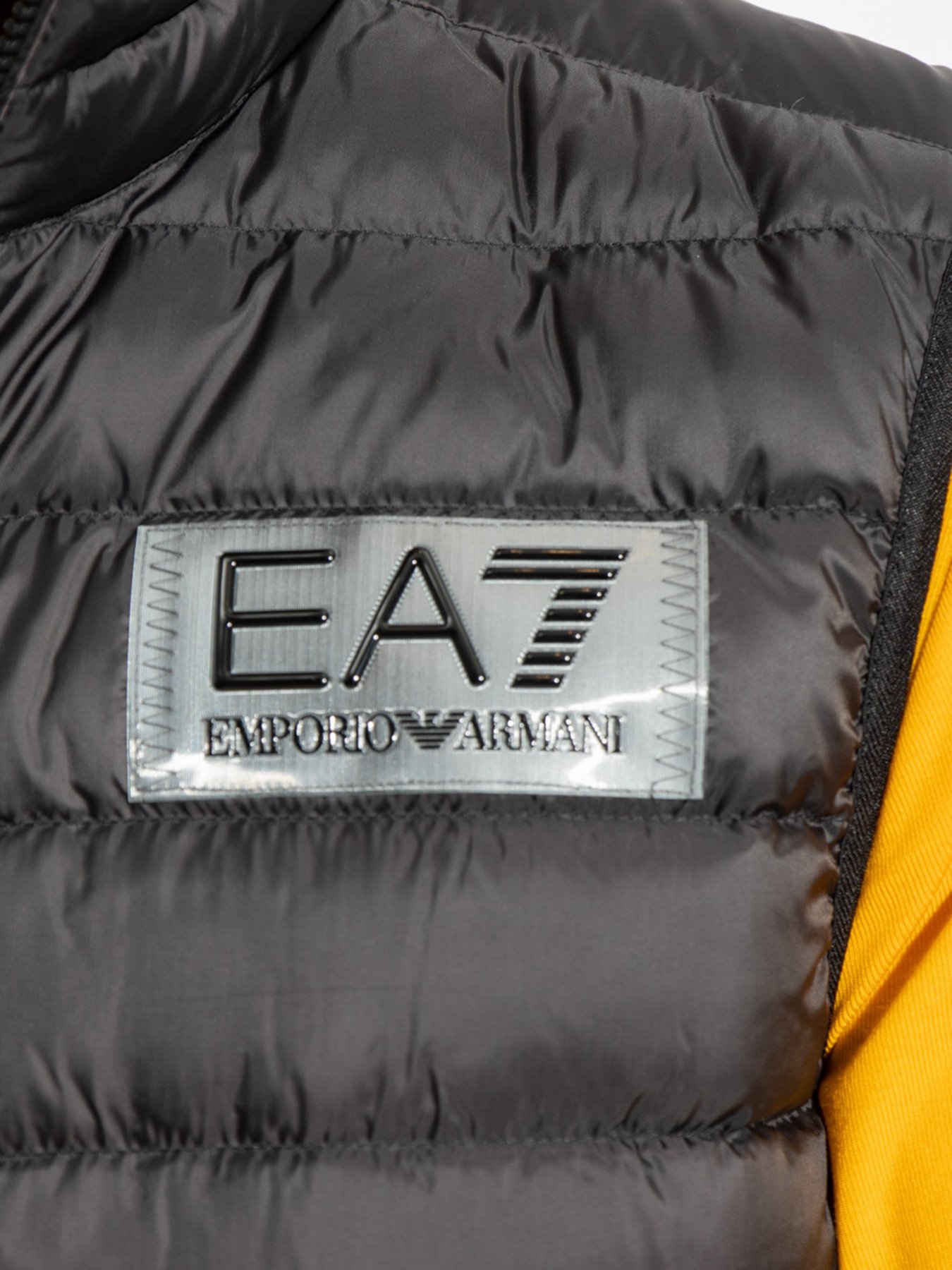 Жилет з утеплювачем EA7 модель 6LPQ02-PN5ZZ-1200 Фото